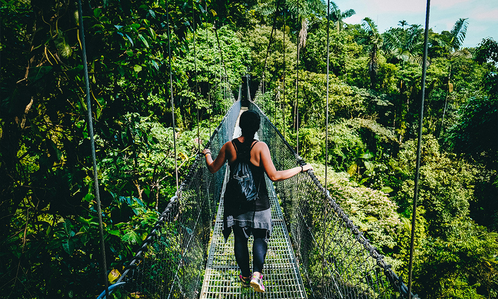 Costa Rica - Jungle